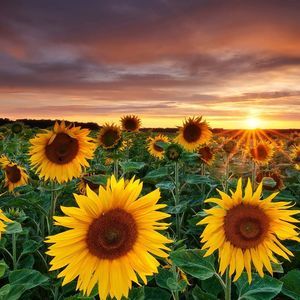 Meet your Posher, Connie